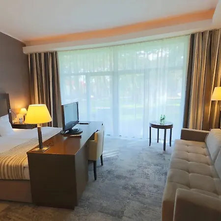 Havet & 5* Дзвижино