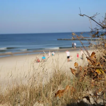 Havet &