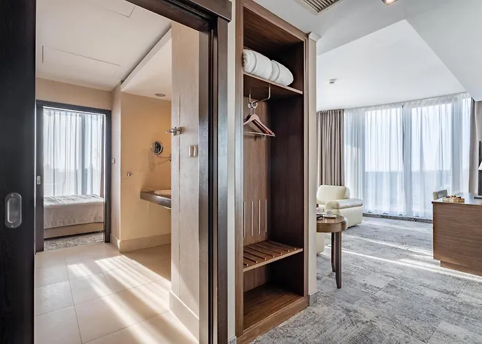 Havet & 드지비르지노