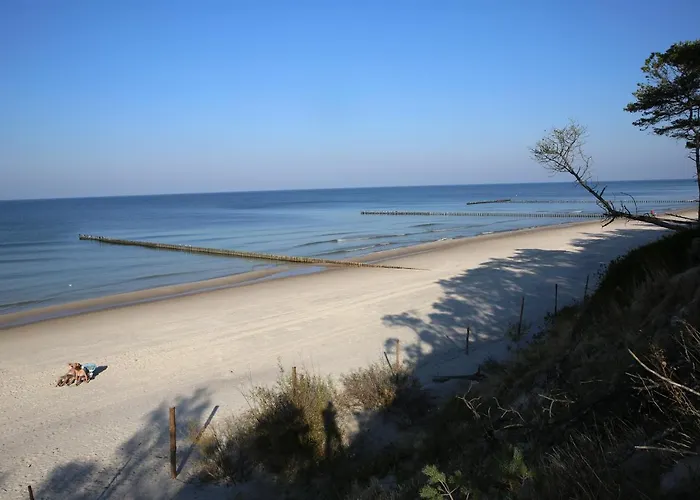 Havet & 호텔 드지비르지노